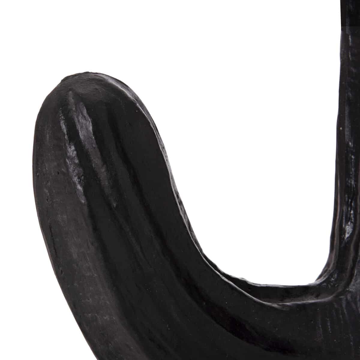 ΔΙΑΚΟΣΜΗΤΙΚΟΣ ΚΑΚΤΟΣ ΔΑΠΕΔΟΥ CACTUS HM4386.01S ΓΥΨΟΣ ΣΕ ΜΑΥΡΟ 42x30x74Υεκ. - Image 6