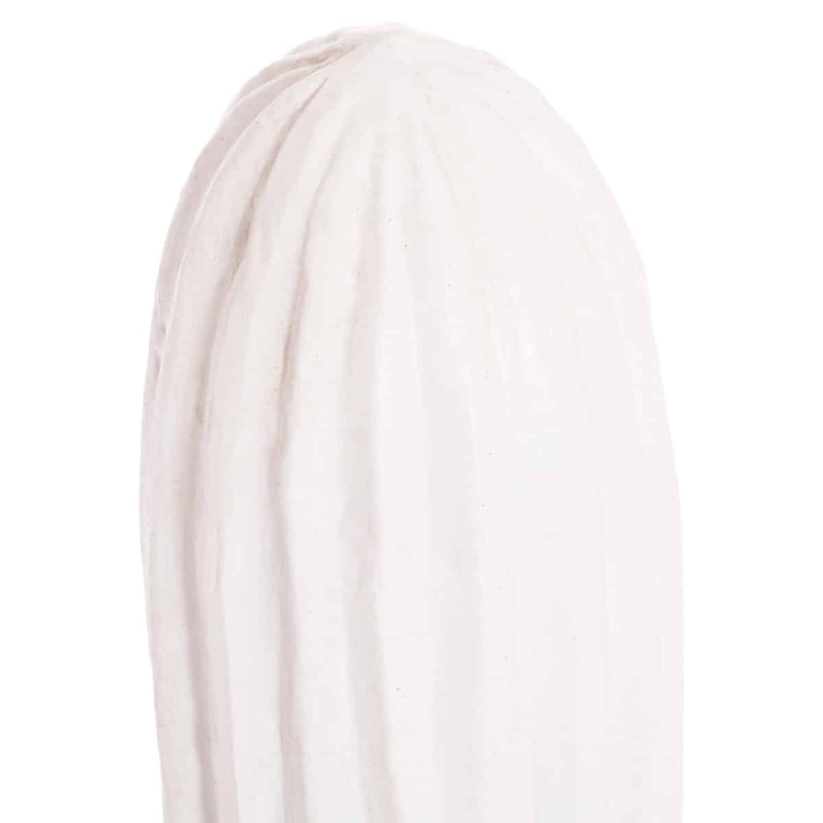 ΔΙΑΚΟΣΜΗΤΙΚΟΣ ΚΑΚΤΟΣ ΔΑΠΕΔΟΥ CACTUS HM4386.02M ΓΥΨΟΣ ΣΕ ΛΕΥΚΟ 54x34x103Υεκ. - Image 5