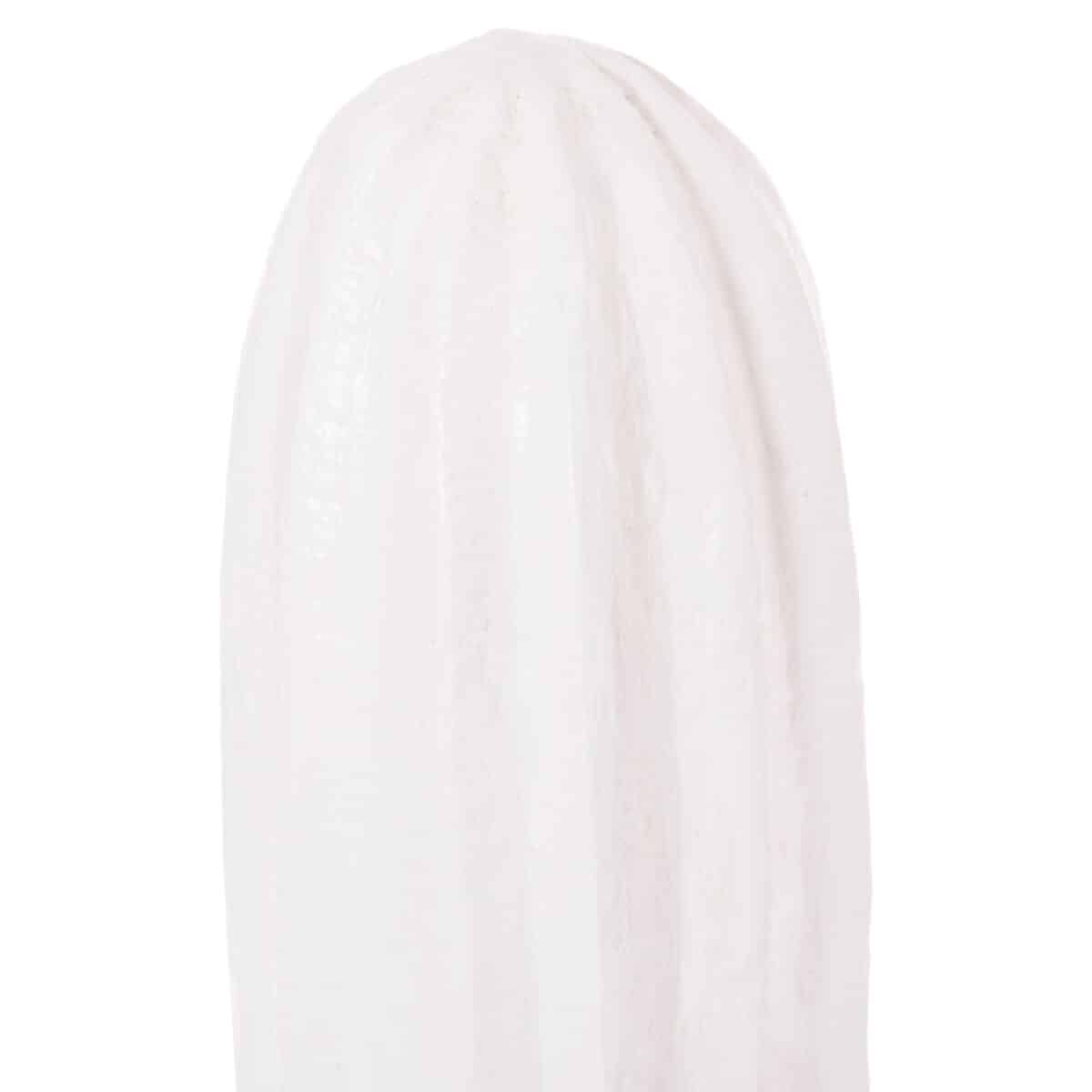 ΔΙΑΚΟΣΜΗΤΙΚΟΣ ΚΑΚΤΟΣ ΔΑΠΕΔΟΥ CACTUS HM4386.02S ΓΥΨΟΣ ΣΕ ΛΕΥΚΟ 42x30x74Υεκ - Image 5