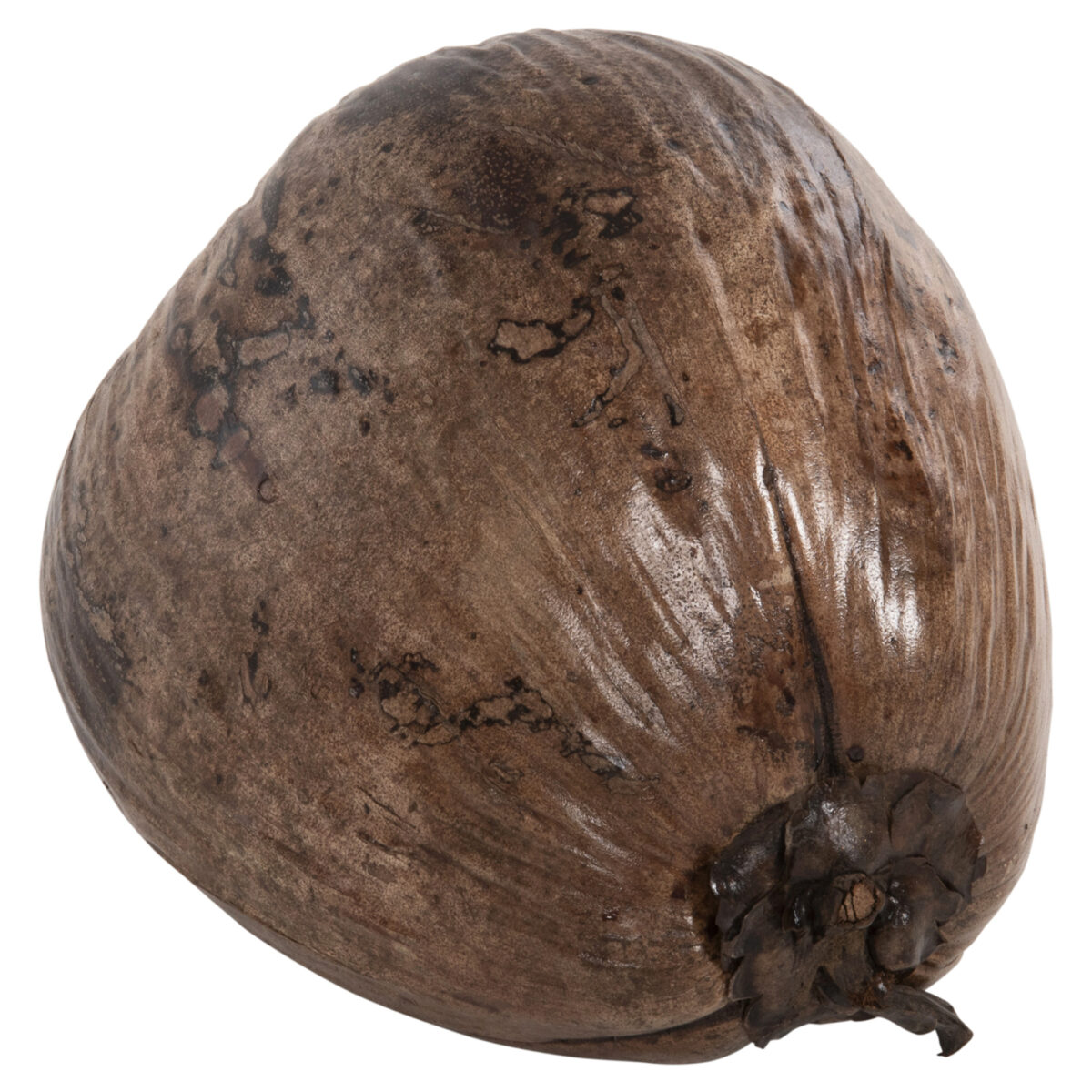 ΕΠΙΤΡΑΠΕΖΙΟ ΔΙΑΚΟΣΜΗΤΙΚΟ HM4326.01 ΚΑΡΥΔΑ ΣΕ ΦΥΣΙΚΟ ΧΡΩΜΑ 20x20x20Υεκ - Image 3