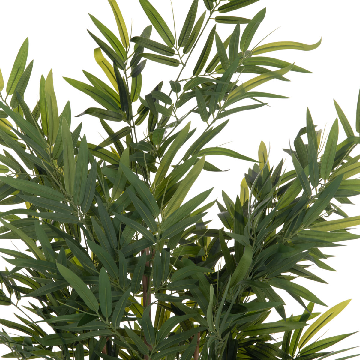 ΔΙΑΚΟΣΜΗΤΙΚΟ ΣΥΝΘΕΤΙΚΟ ΦΥΤΟ HM4736 BAMBOO ΣΕ ΓΛΑΣΤΡΑ 20x95x180Υεκ. - Image 3