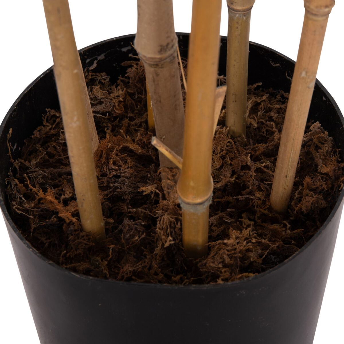 ΔΙΑΚΟΣΜΗΤΙΚΟ ΣΥΝΘΕΤΙΚΟ ΦΥΤΟ HM4736 BAMBOO ΣΕ ΓΛΑΣΤΡΑ 20x95x180Υεκ. - Image 9