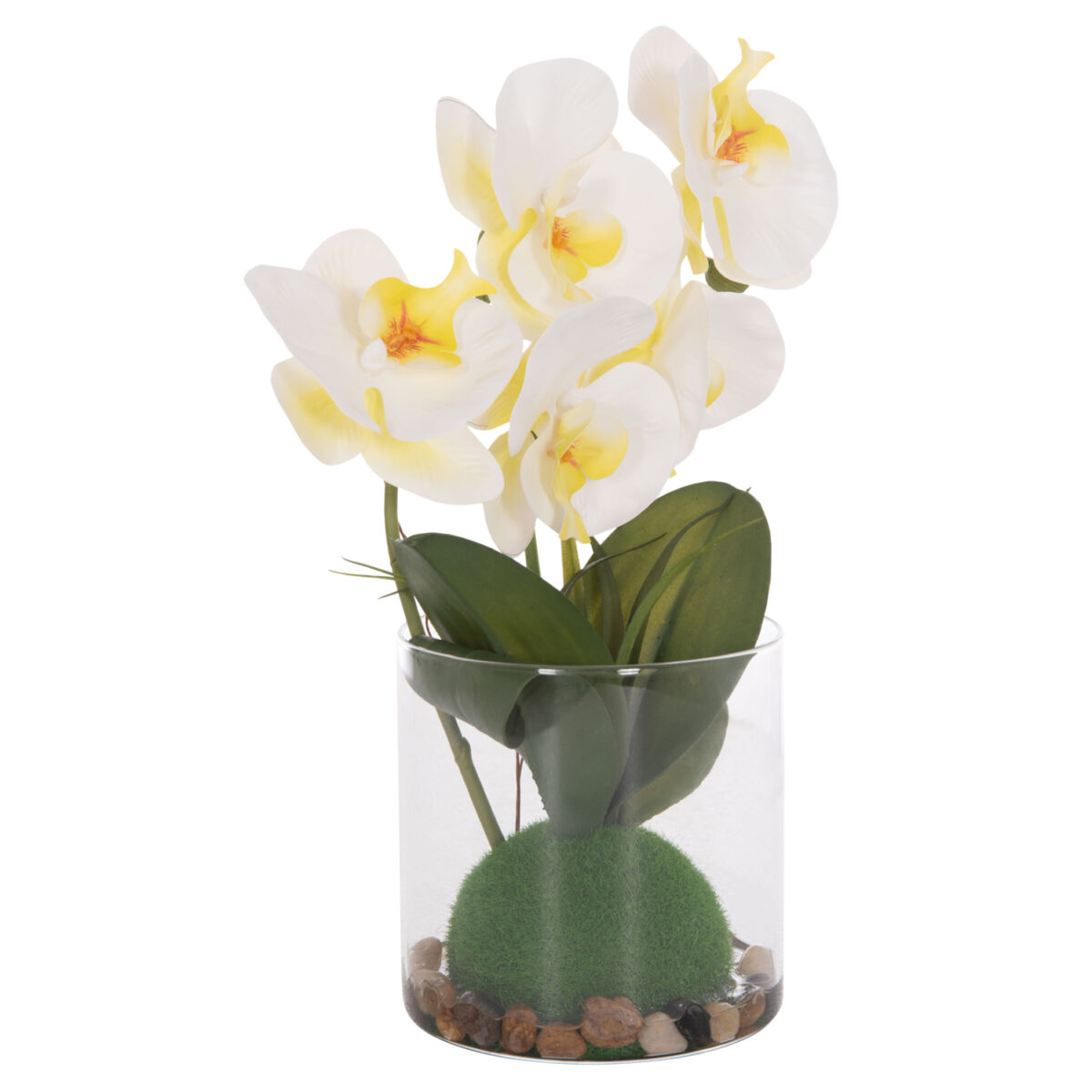 diakosmitiko-synthetiko-fyto-fb94738-loy-5 ΔΙΑΚΟΣΜΗΤΙΚΟ ΣΥΝΘΕΤΙΚΟ ΦΥΤΟ HM4738 ΛΟΥΛΟΥΔΙ PHALAENOPSIS ΣΕ ΓΥΑΛΙΝΟ ΒΑΖΟ 12x24x30Υεκ - Image 6
