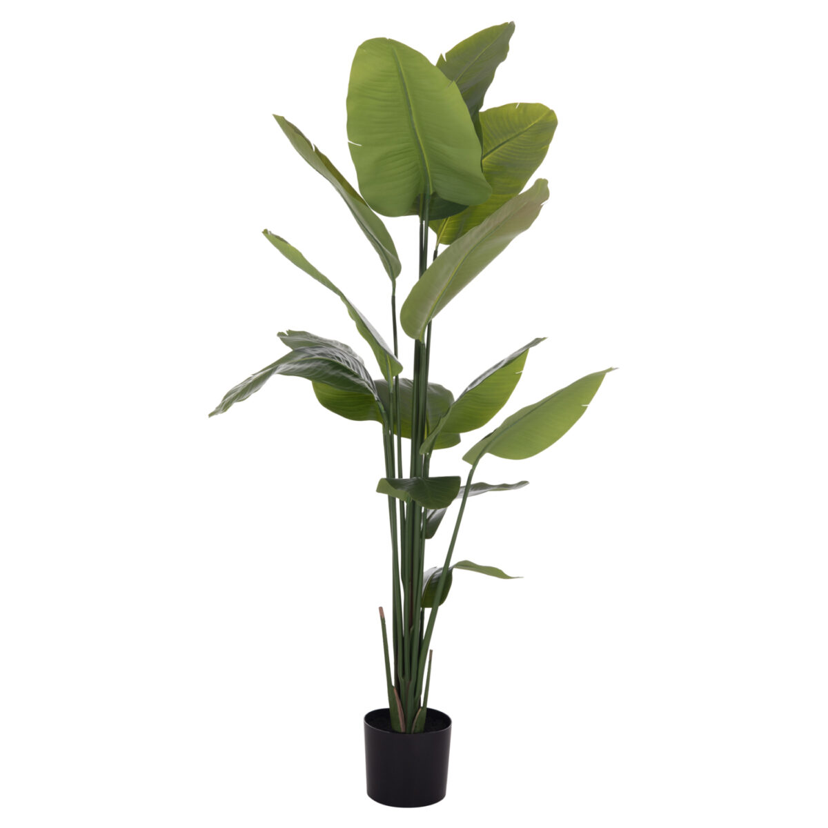 ΔΙΑΚΟΣΜΗΤΙΚΟ ΣΥΝΘΕΤΙΚΟ ΦΥΤΟ HM4739 ΣΤΡΕΛΙΤΣΙΑ ΣΕ ΓΛΑΣΤΡΑ Φ18x172Υεκ. - Image 9