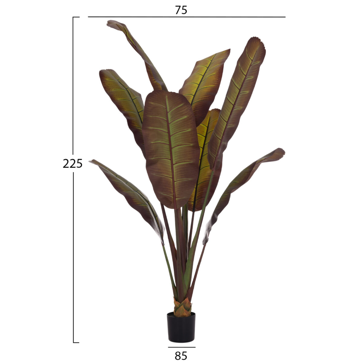 ΔΙΑΚΟΣΜΗΤΙΚΟ ΣΥΝΘΕΤΙΚΟ ΦΥΤΟ HM4740 ΙΑΠΩΝΙΚΗ ΜΠΑΝΑΝΑ ΣΕ ΓΛΑΣΤΡΑ 85x75x225Υεκ. - Image 2