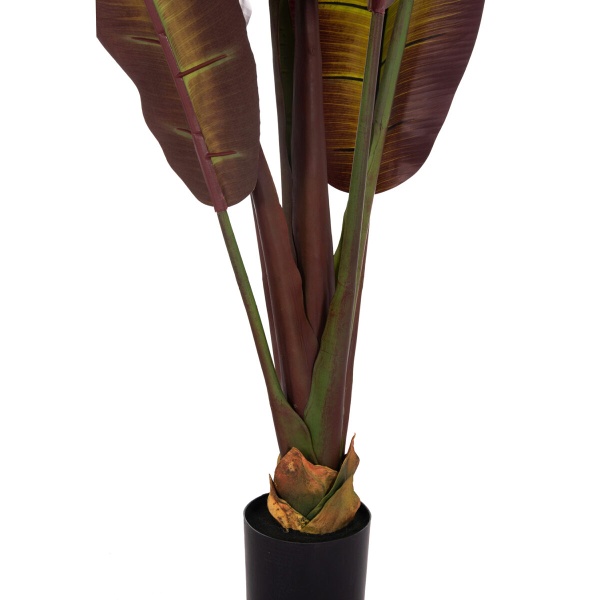 ΔΙΑΚΟΣΜΗΤΙΚΟ ΣΥΝΘΕΤΙΚΟ ΦΥΤΟ HM4740 ΙΑΠΩΝΙΚΗ ΜΠΑΝΑΝΑ ΣΕ ΓΛΑΣΤΡΑ 85x75x225Υεκ. - Image 5