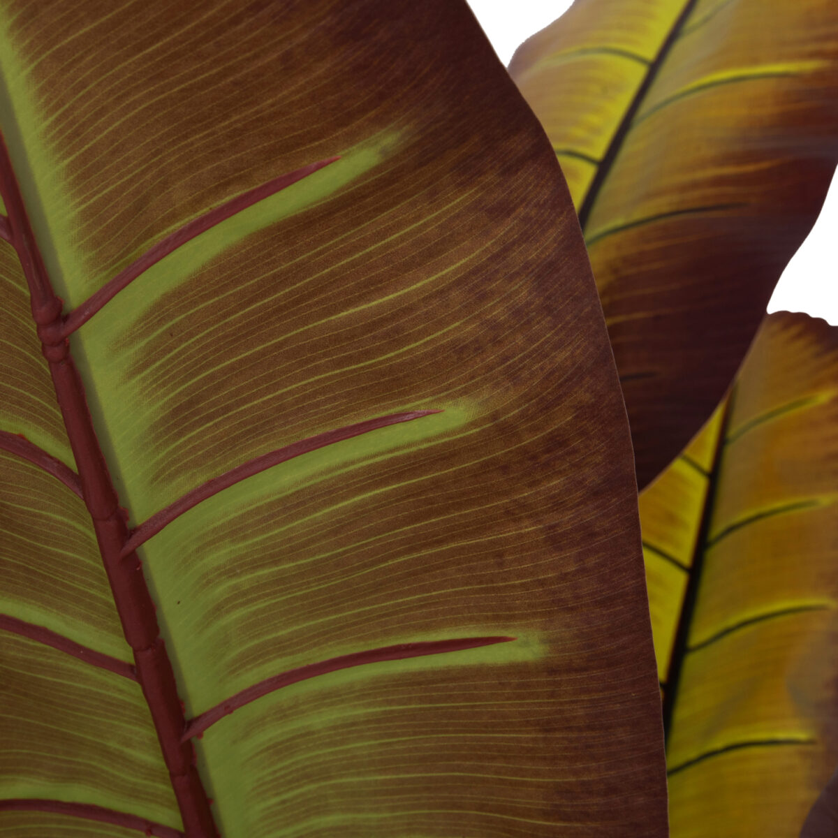 ΔΙΑΚΟΣΜΗΤΙΚΟ ΣΥΝΘΕΤΙΚΟ ΦΥΤΟ HM4740 ΙΑΠΩΝΙΚΗ ΜΠΑΝΑΝΑ ΣΕ ΓΛΑΣΤΡΑ 85x75x225Υεκ. - Image 9