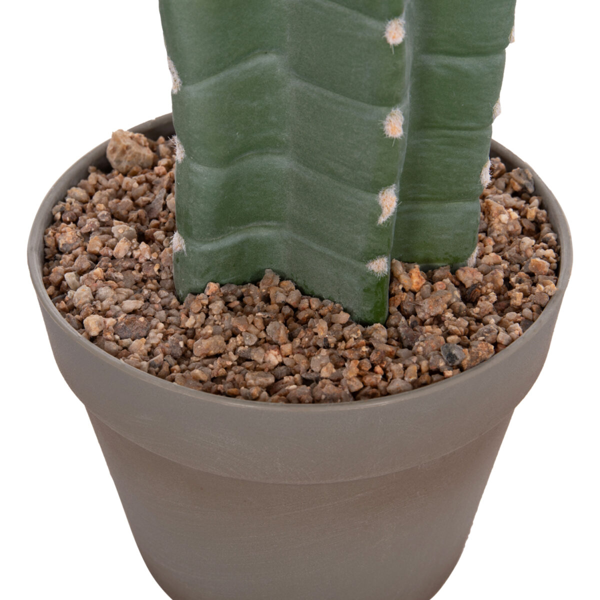 diakosmitiko-synthetiko-fyto-fb94742-kak-5 ΔΙΑΚΟΣΜΗΤΙΚΟ ΣΥΝΘΕΤΙΚΟ ΦΥΤΟ HM4742 ΚΑΚΤΟΣ ΜΕ ΓΛΑΣΤΡΑ 17,5x26x103Υεκ. - Image 6