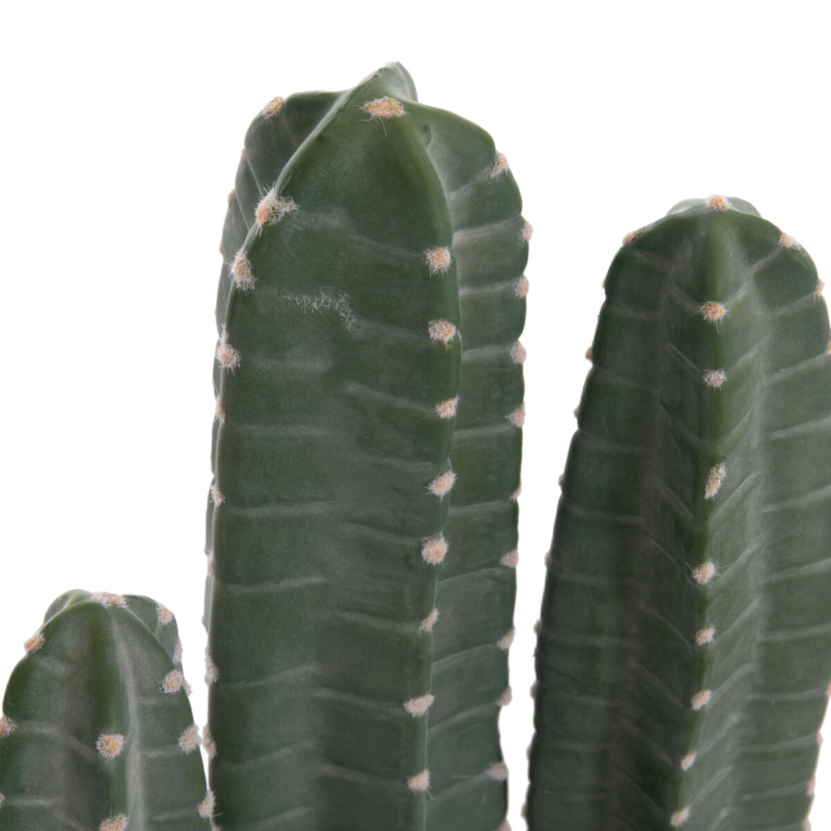 diakosmitiko-synthetiko-fyto-fb94742-kak-7 ΔΙΑΚΟΣΜΗΤΙΚΟ ΣΥΝΘΕΤΙΚΟ ΦΥΤΟ HM4742 ΚΑΚΤΟΣ ΜΕ ΓΛΑΣΤΡΑ 17,5x26x103Υεκ. - Image 8