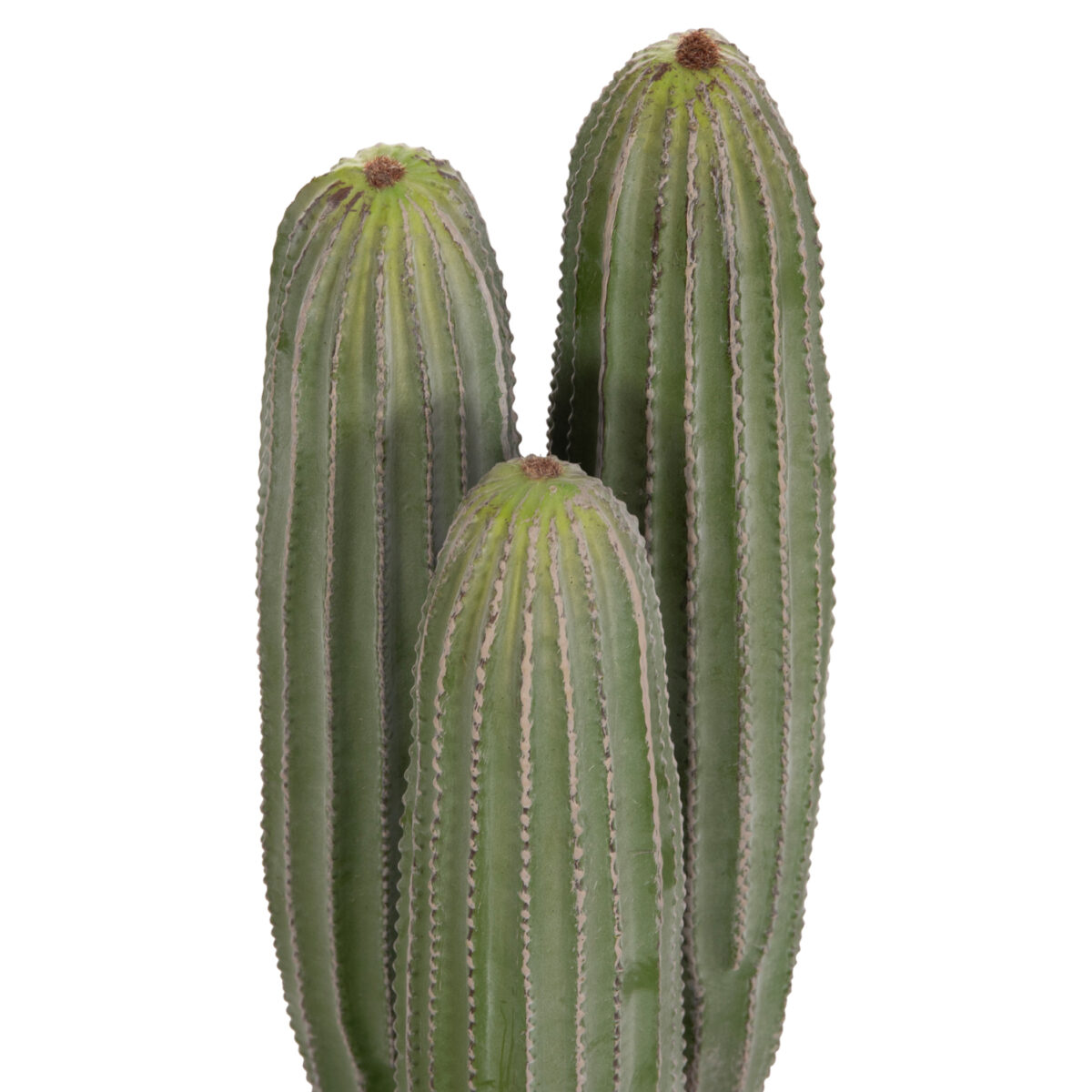 ΔΙΑΚΟΣΜΗΤΙΚΟ ΣΥΝΘΕΤΙΚΟ ΦΥΤΟ HM4743 ΚΑΚΤΟΣ ΜΕ ΓΛΑΣΤΡΑ Φ16x62Υεκ. - Image 3