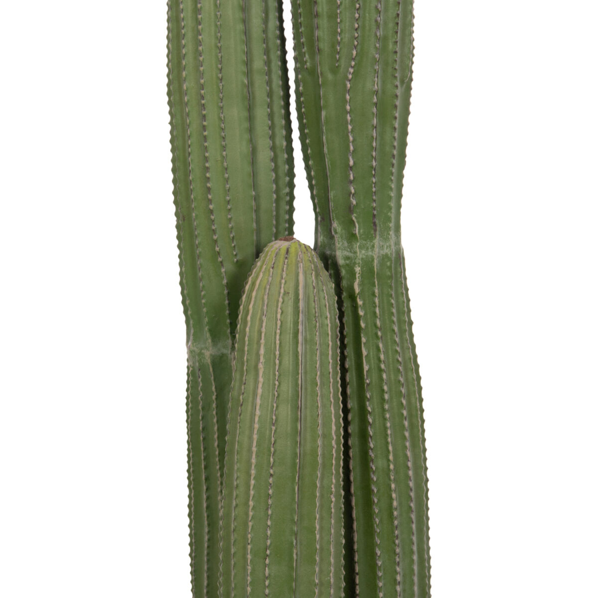 ΔΙΑΚΟΣΜΗΤΙΚΟ ΣΥΝΘΕΤΙΚΟ ΦΥΤΟ HM4744 ΚΑΚΤΟΣ ΜΕ ΓΛΑΣΤΡΑ Φ17,5x105Υεκ. - Image 4
