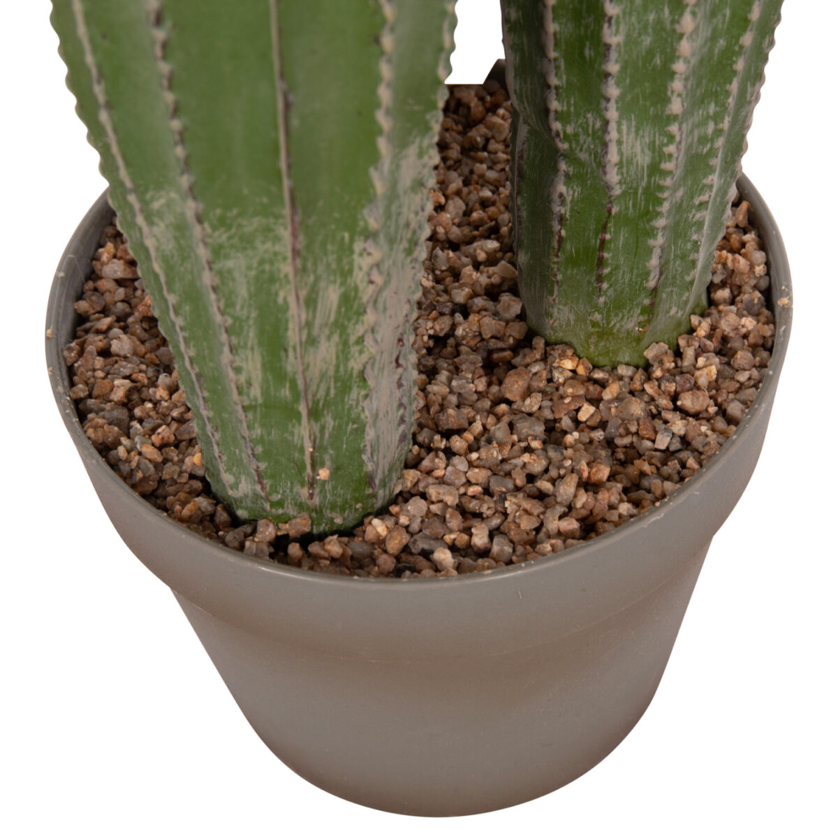 ΔΙΑΚΟΣΜΗΤΙΚΟ ΣΥΝΘΕΤΙΚΟ ΦΥΤΟ HM4744 ΚΑΚΤΟΣ ΜΕ ΓΛΑΣΤΡΑ Φ17,5x105Υεκ. - Image 8