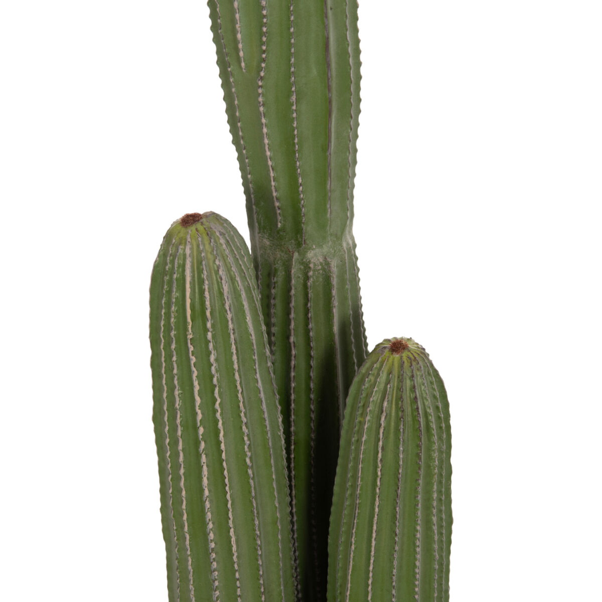 ΔΙΑΚΟΣΜΗΤΙΚΟ ΣΥΝΘΕΤΙΚΟ ΦΥΤΟ HM4745 ΚΑΚΤΟΣ ΜΕ ΓΛΑΣΤΡΑ Φ17,5x144Υεκ. - Image 7