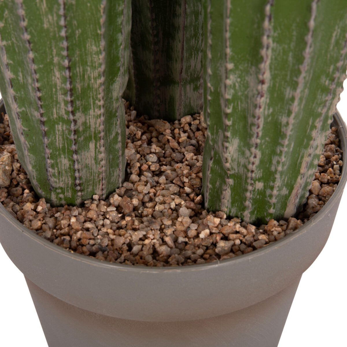 ΔΙΑΚΟΣΜΗΤΙΚΟ ΣΥΝΘΕΤΙΚΟ ΦΥΤΟ HM4745 ΚΑΚΤΟΣ ΜΕ ΓΛΑΣΤΡΑ Φ17,5x144Υεκ. - Image 8