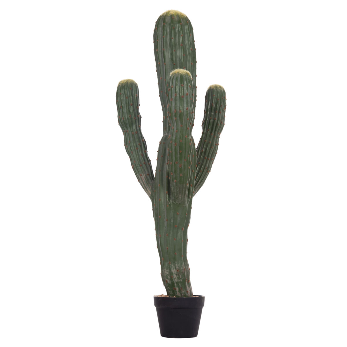 ΔΙΑΚΟΣΜΗΤΙΚΟ ΣΥΝΘΕΤΙΚΟ ΦΥΤΟ HM4746 ΚΑΚΤΟΣ ΜΕ ΓΛΑΣΤΡΑ 17,5x42x113Υεκ. - Image 6