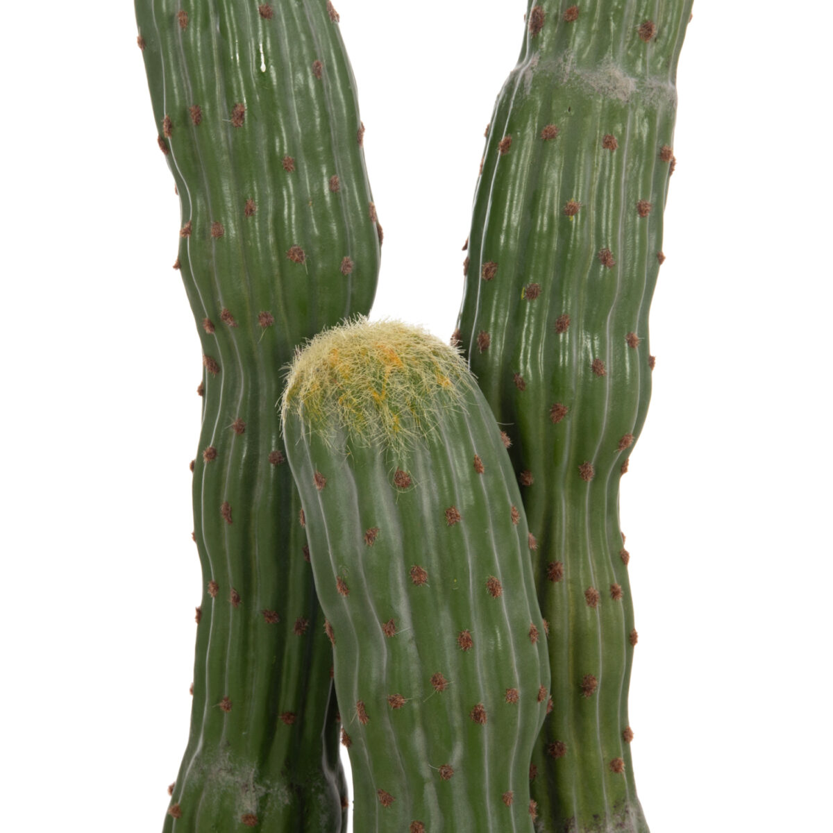 ΔΙΑΚΟΣΜΗΤΙΚΟ ΣΥΝΘΕΤΙΚΟ ΦΥΤΟ HM4747 ΚΑΚΤΟΣ ΜΕ ΓΛΑΣΤΡΑ Φ17,5x115Υεκ. - Image 7