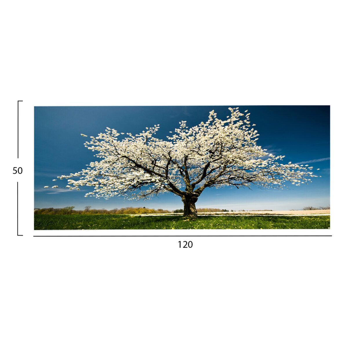 ΠΙΝΑΚΑΣ TOIXOY ΣΕΙΡΑ GOBI HM4792 ΕΚΤΥΠΩΜΕΝΟΣ ΚΑΜΒΑΣ 120x3(πάχος)x50Υεκ. - Image 2