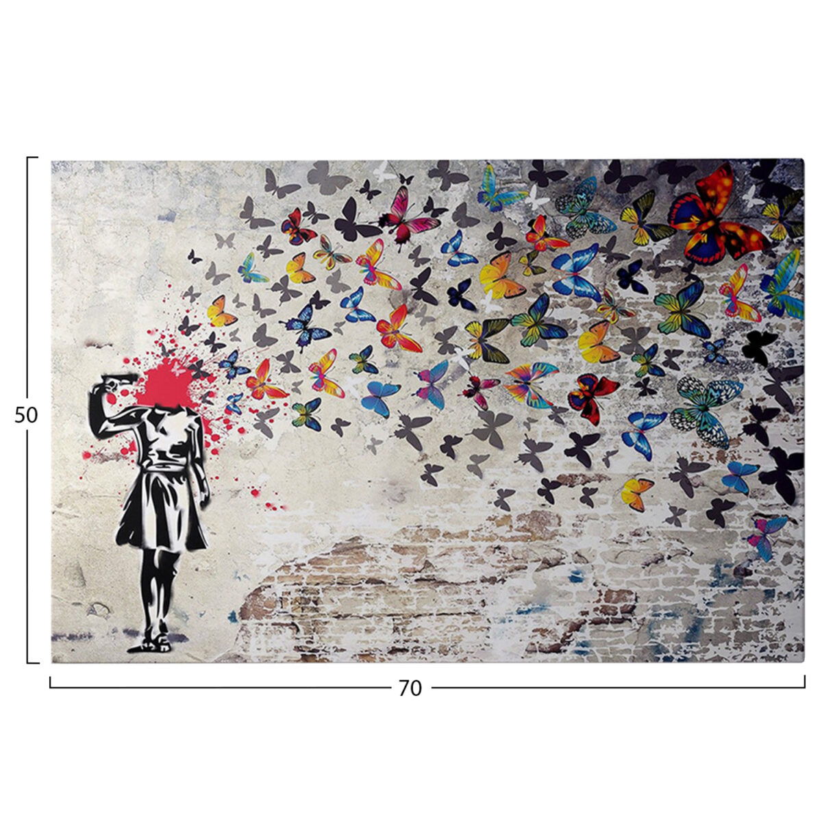 pinakas-toixoy-fb94820-ektypomenos-kamba-2 ΠΙΝΑΚΑΣ TOIXOY ΣΕΙΡΑ GOBI HM4820 ΕΚΤΥΠΩΜΕΝΟΣ ΚΑΜΒΑΣ 70x3(πάχος)x50Yεκ. - Image 3