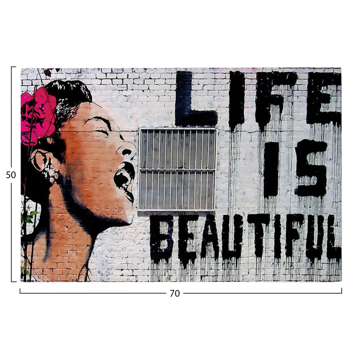 ΠΙΝΑΚΑΣ TOIXOY ΣΕΙΡΑ GOBI HM4830 ΕΚΤΥΠΩΜΕΝΟΣ ΚΑΜΒΑΣ 70x3(πάχος)x50Yεκ. - Image 3