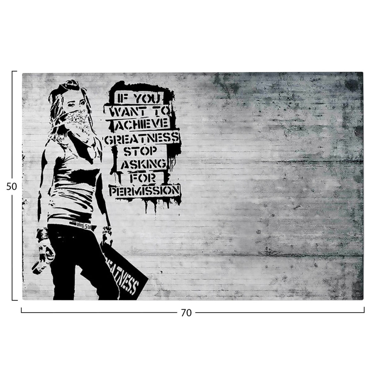 ΠΙΝΑΚΑΣ TOIXOY ΣΕΙΡΑ GOBI HM4831 ΕΚΤΥΠΩΜΕΝΟΣ ΚΑΜΒΑΣ 70x3(πάχος)x50Yεκ. - Image 3