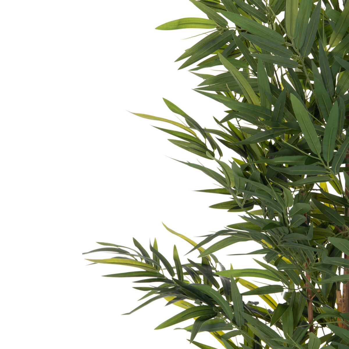 ΔΙΑΚΟΣΜΗΤΙΚΟ ΣΥΝΘΕΤΙΚΟ ΦΥΤΟ HM4736 BAMBOO ΣΕ ΓΛΑΣΤΡΑ 20x95x180Υεκ. - Image 6