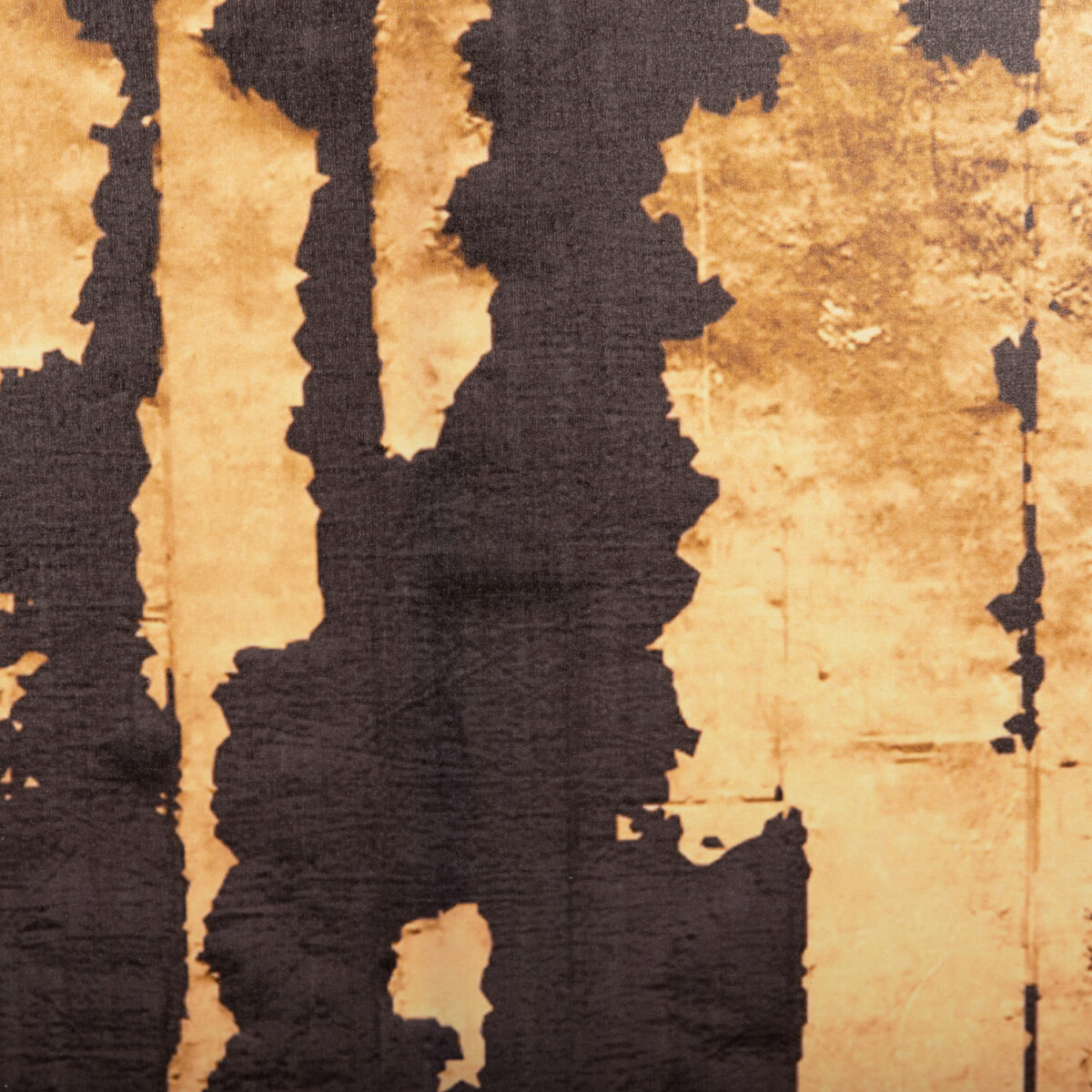 ΠΙΝΑΚΑΣ TOIXOY ΣΕΙΡΑ GOBI HM4782 ΕΚΤΥΠΩΜΕΝΟΣ ΚΑΜΒΑΣ 98x2,5(πάχος)x68Υεκ. - Image 6