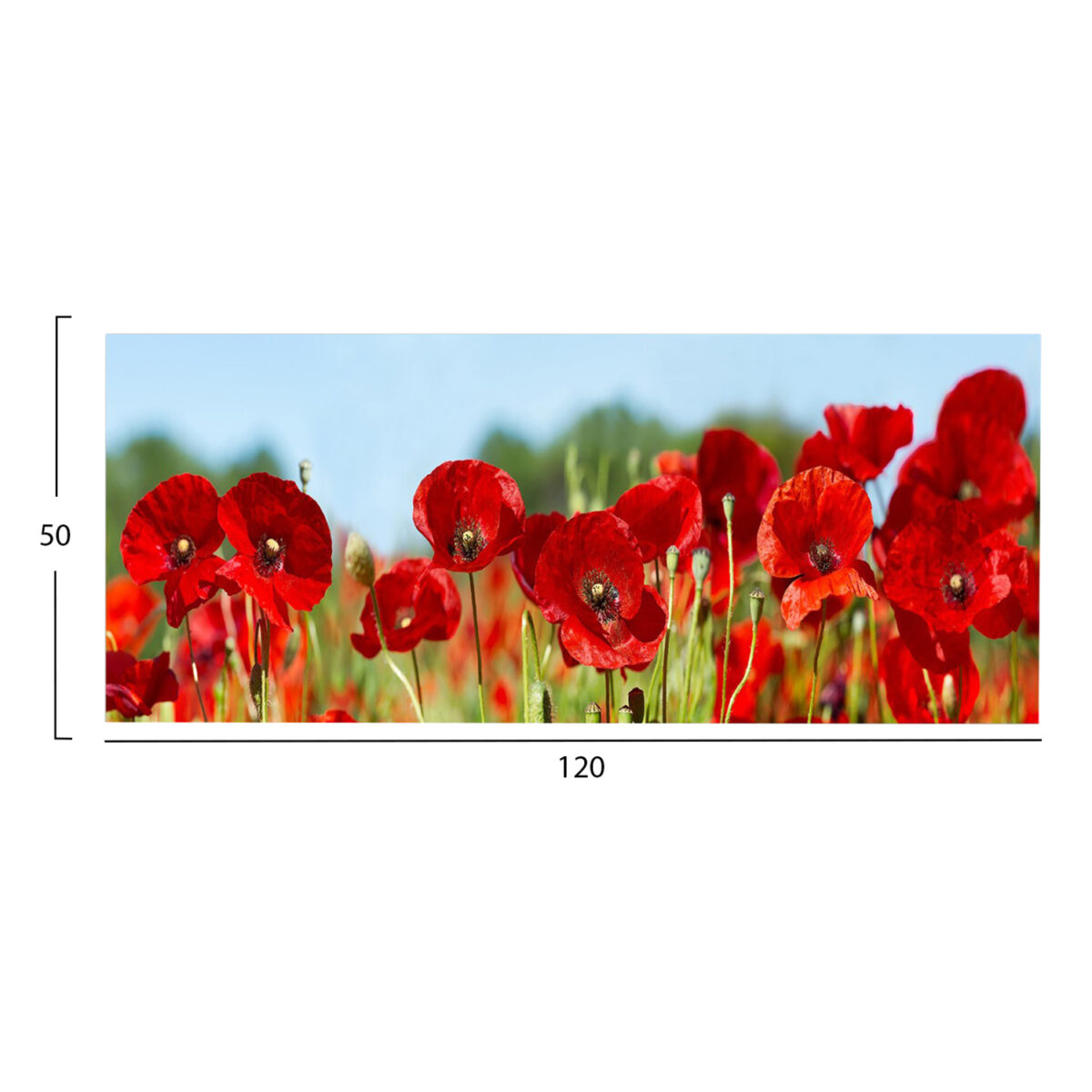 ΠΙΝΑΚΑΣ TOIXOY ΣΕΙΡΑ GOBI HM4786 ΕΚΤΥΠΩΜΕΝΟΣ ΚΑΜΒΑΣ 120x3(πάχος)x50Υεκ. - Image 2