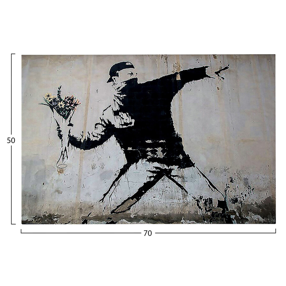 ΠΙΝΑΚΑΣ TOIXOY ΣΕΙΡΑ GOBI HM4817 ΕΚΤΥΠΩΜΕΝΟΣ ΚΑΜΒΑΣ 70x3(πάχος)x50Yεκ. - Image 3