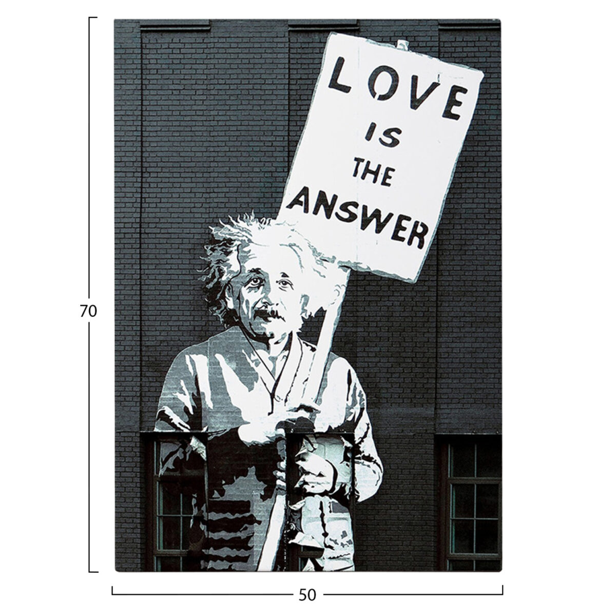 ΠΙΝΑΚΑΣ TOIXOY ΣΕΙΡΑ GOBI HM4818 ΕΚΤΥΠΩΜΕΝΟΣ ΚΑΜΒΑΣ 50x3(πάχος)x70Yεκ. - Image 3