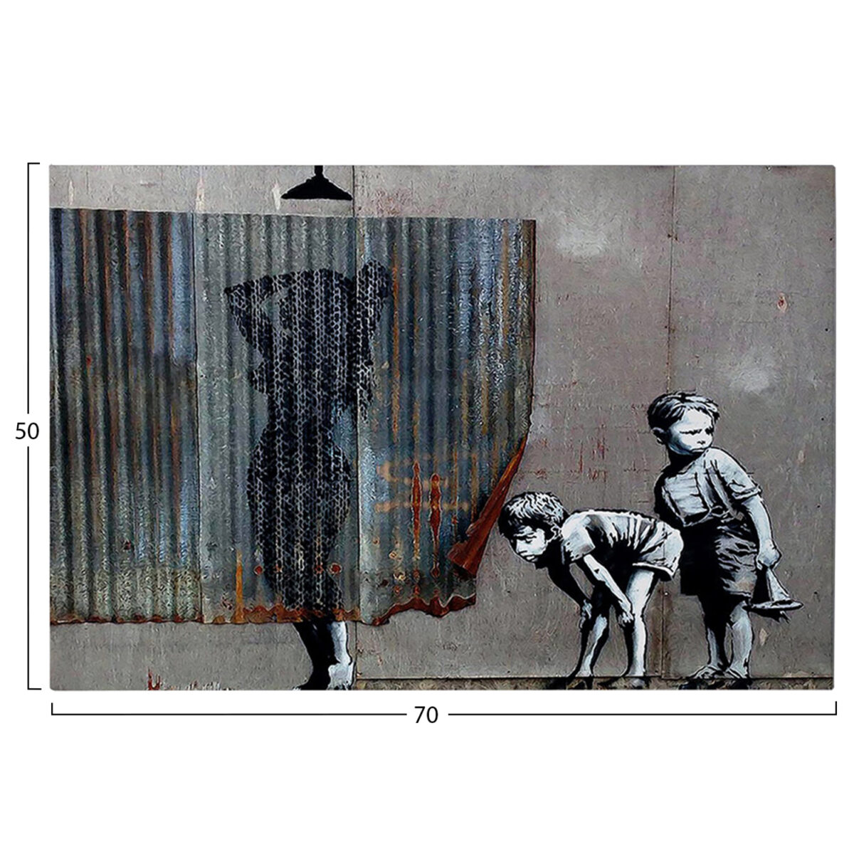 ΠΙΝΑΚΑΣ TOIXOY ΣΕΙΡΑ GOBI HM4821 ΕΚΤΥΠΩΜΕΝΟΣ ΚΑΜΒΑΣ 70x3(πάχος)x50Yεκ. - Image 3