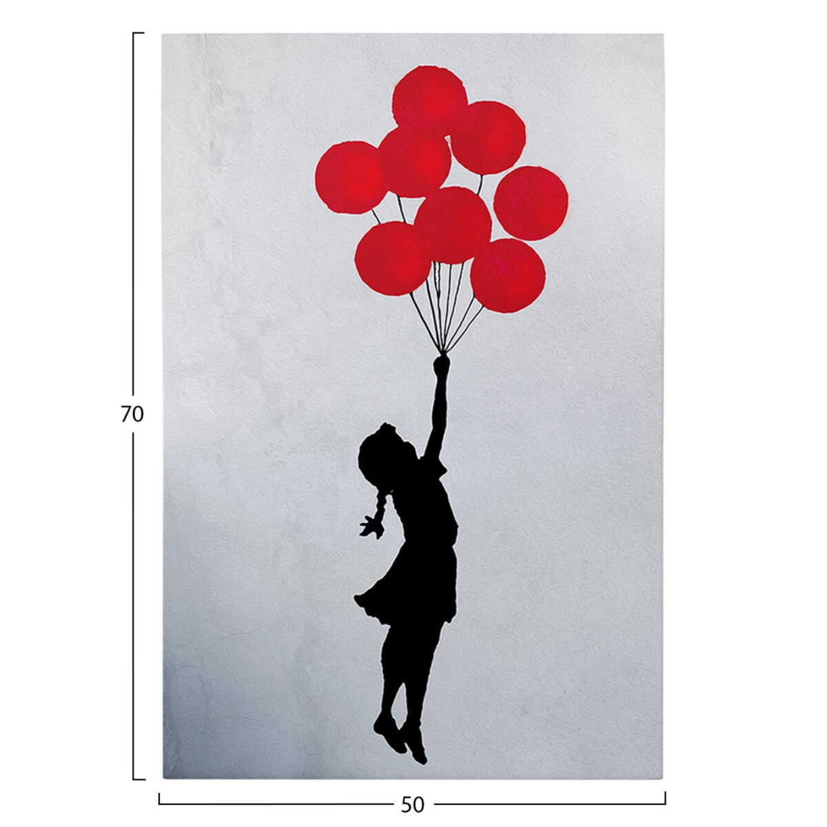 ΠΙΝΑΚΑΣ TOIXOY ΣΕΙΡΑ GOBI HM4824 ΕΚΤΥΠΩΜΕΝΟΣ ΚΑΜΒΑΣ 50x3(πάχος)x70Yεκ. - Image 3