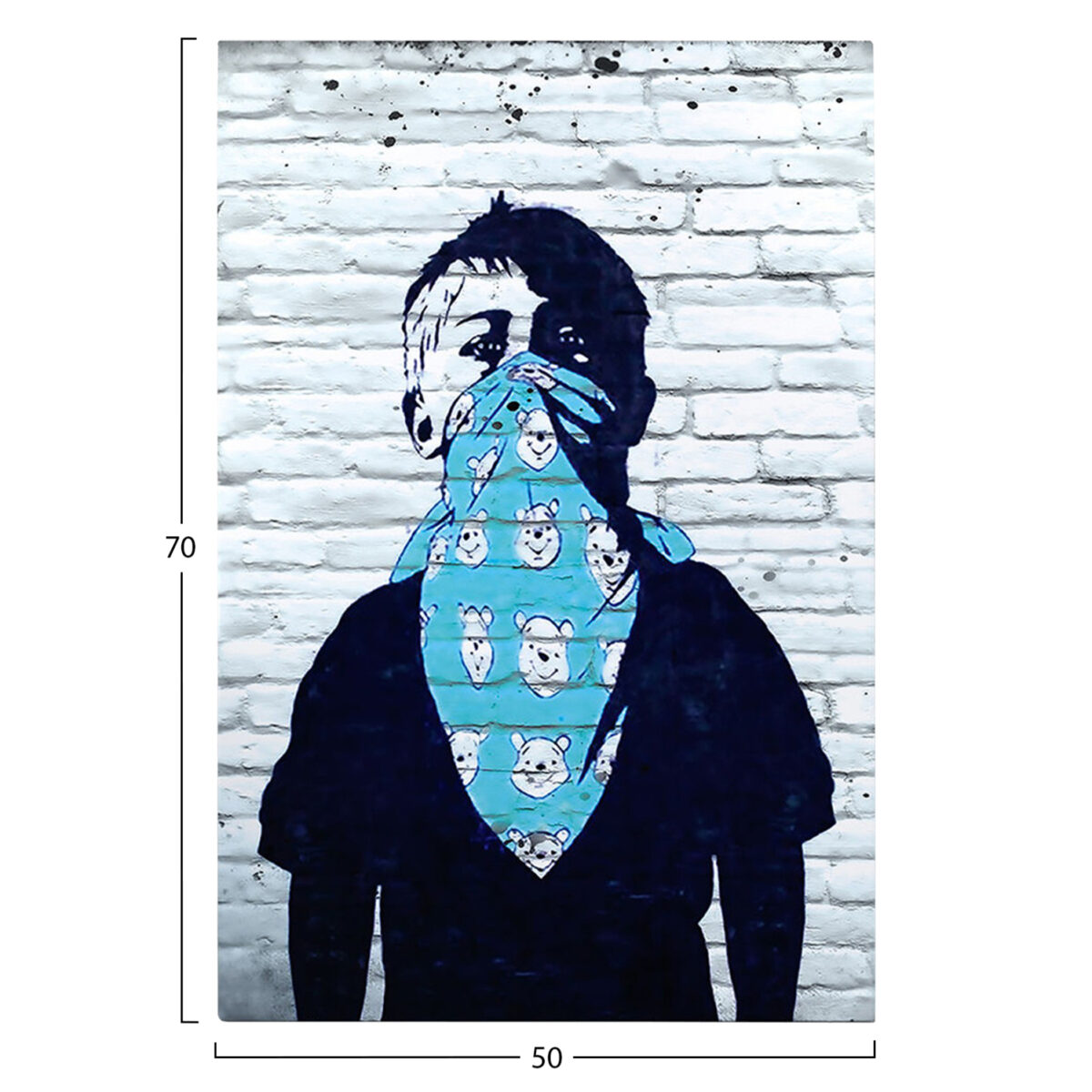 ΠΙΝΑΚΑΣ TOIXOY ΣΕΙΡΑ GOBI HM4829 ΕΚΤΥΠΩΜΕΝΟΣ ΚΑΜΒΑΣ 50x3(πάχος)x70Yεκ. - Image 3