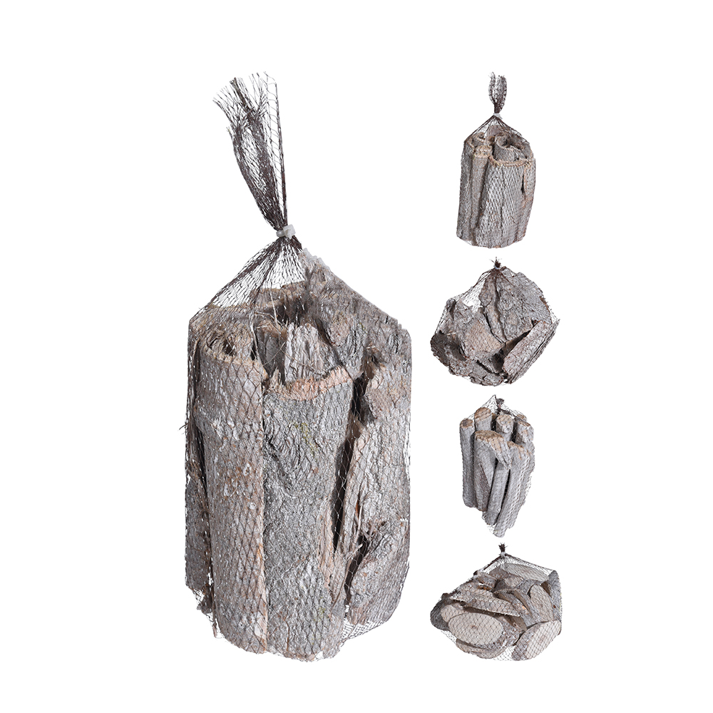 BRANCH XMAS ΦΛΟΙΟΙ