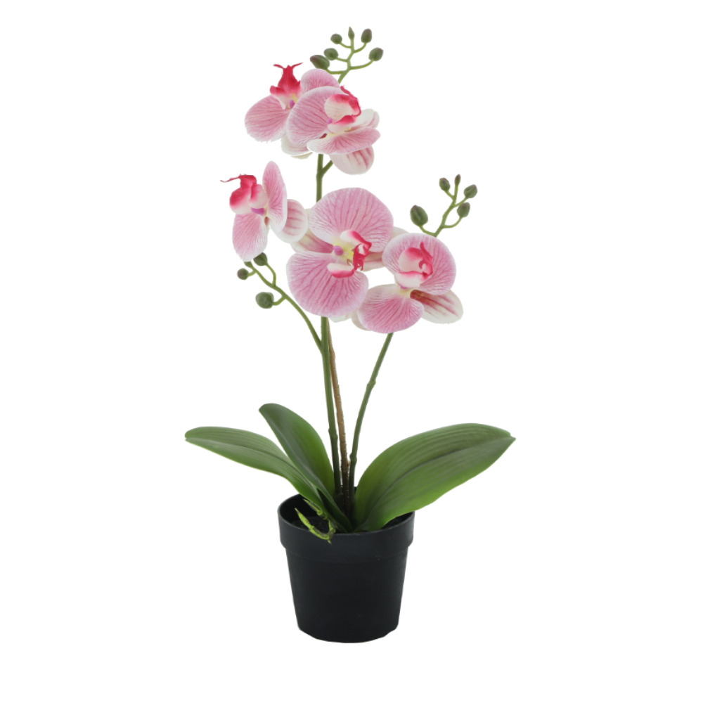 ORCHID 1 ΦΥΤΟ ΤΕΧΝΗΤΟ ΣΕ ΓΛΑΣΤΡΑ 35cm PE/PP ΡΟΖ ΠΡΑΣΙΝΟ PEVA