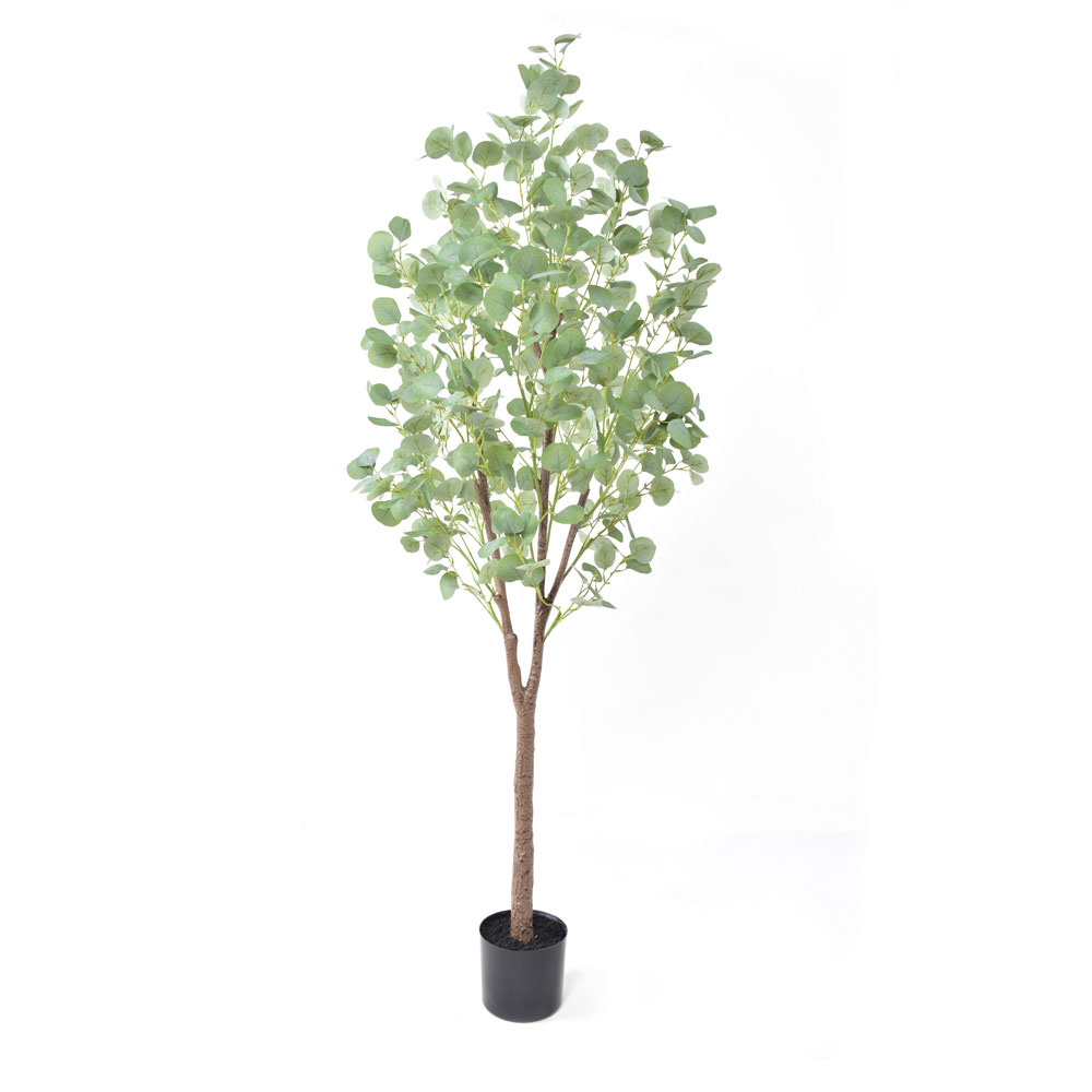 SILVER DOLLAR EUCALYPTUS ΔΕΝΤΡΟ ΤΕΧΝΗΤΟ ΣΕ ΓΛΑΣΤΡΑ 180cm PE ΠΡΑΣΙΝΟ ΜΕΤΑΞΩΤΟ ΥΦΑΣΜΑ