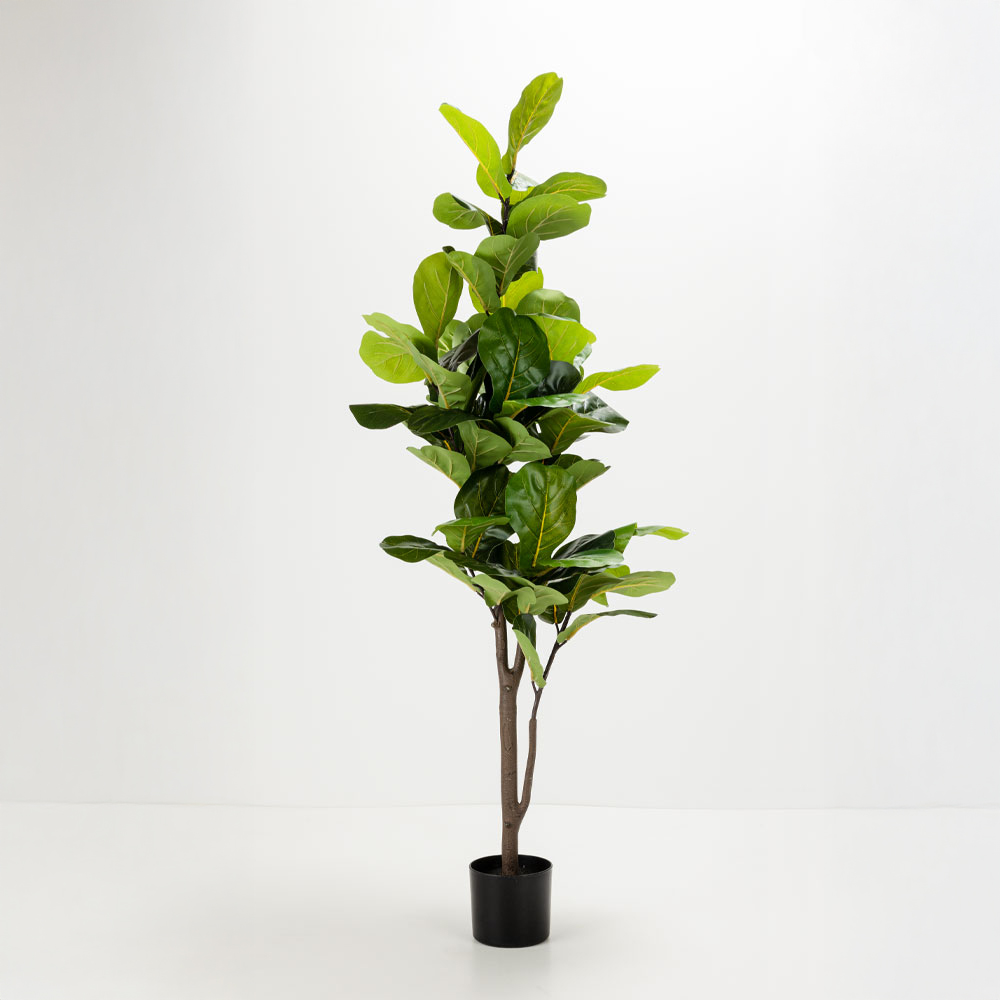 FICUS PANDURATA ΔΕΝΤΡΟ ΤΕΧΝΗΤΟ ΣΕ ΓΛΑΣΤΡΑ 180cm ΥΦΑΣΜΑ ΠΡΑΣΙΝΟ PVC
