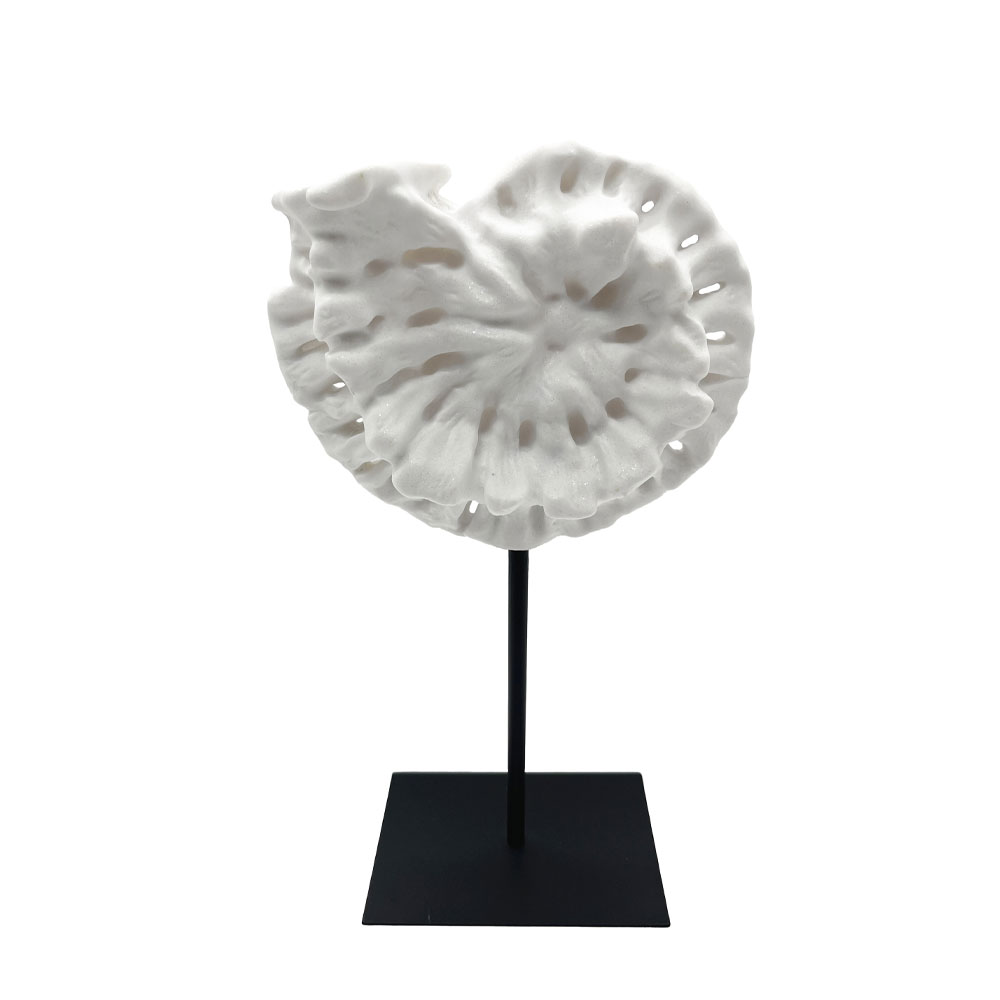 SHELL ΔΙΑΚΟΣΜΗΤΙΚΟ ΚΟΧΥΛΙ 20x11x36cm POLYRESIN ΑΣΠΡΟ ΜΑΥΡΟ ΜΕΤΑΛΛΟ