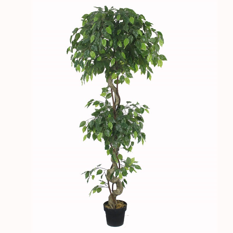Τεχνητό Φυτό Φίκος Μπέντζαμιν 180cm Στριφτός Κορμός