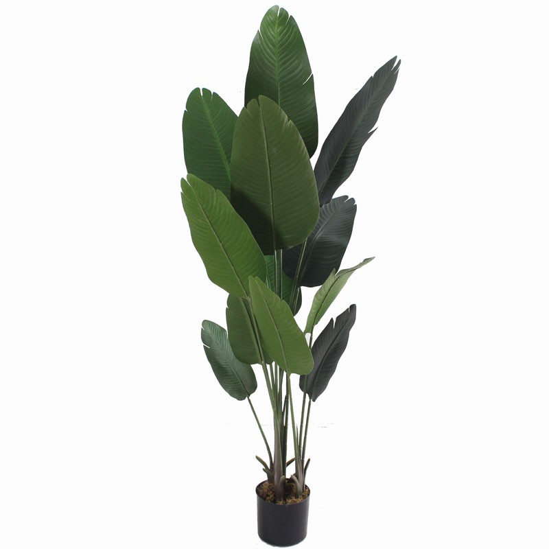 Τεχνητό Φυτό Του Ταξιδιώτη 180cm