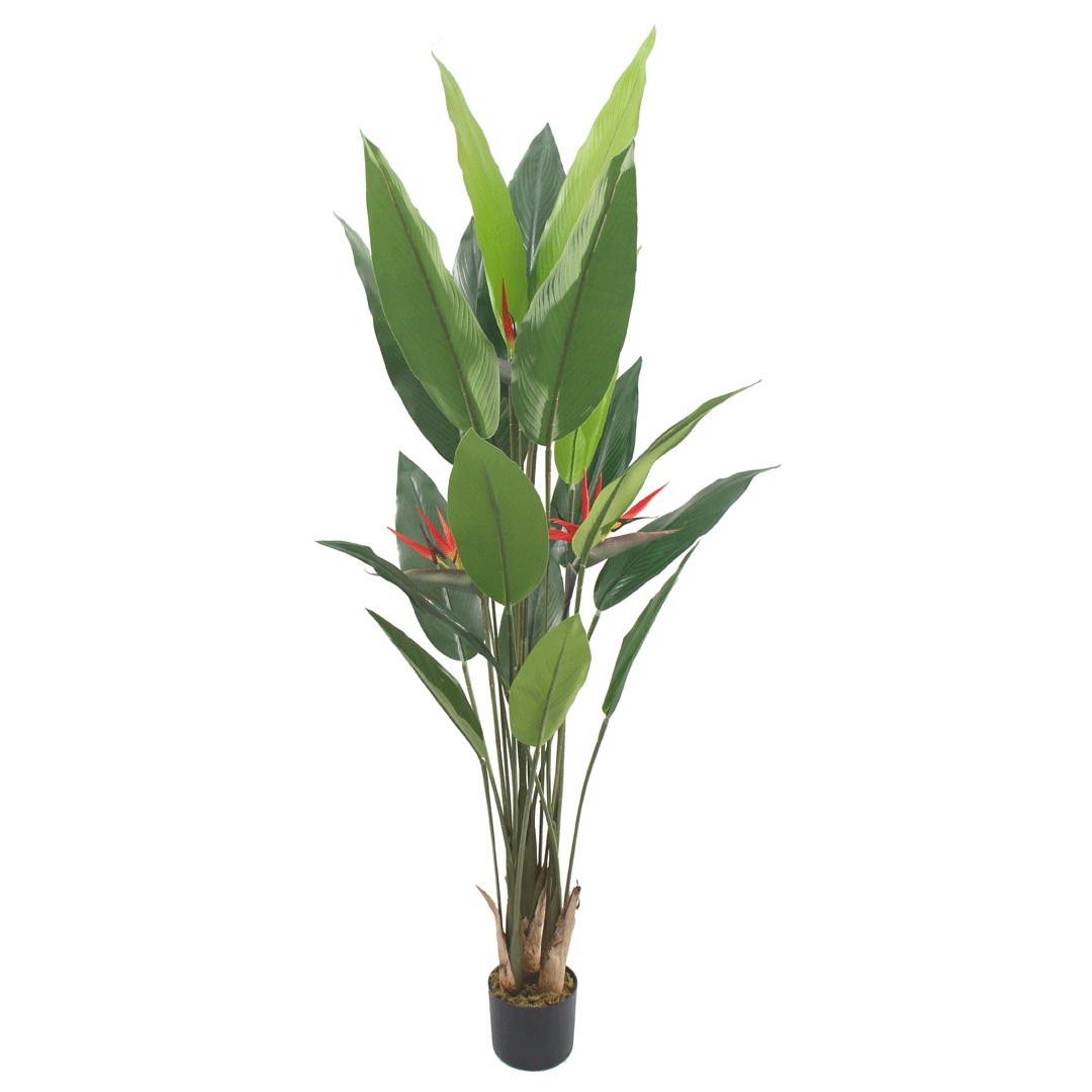 Τεχνητό Φυτό Πουλί Του Παραδείσου 180cm