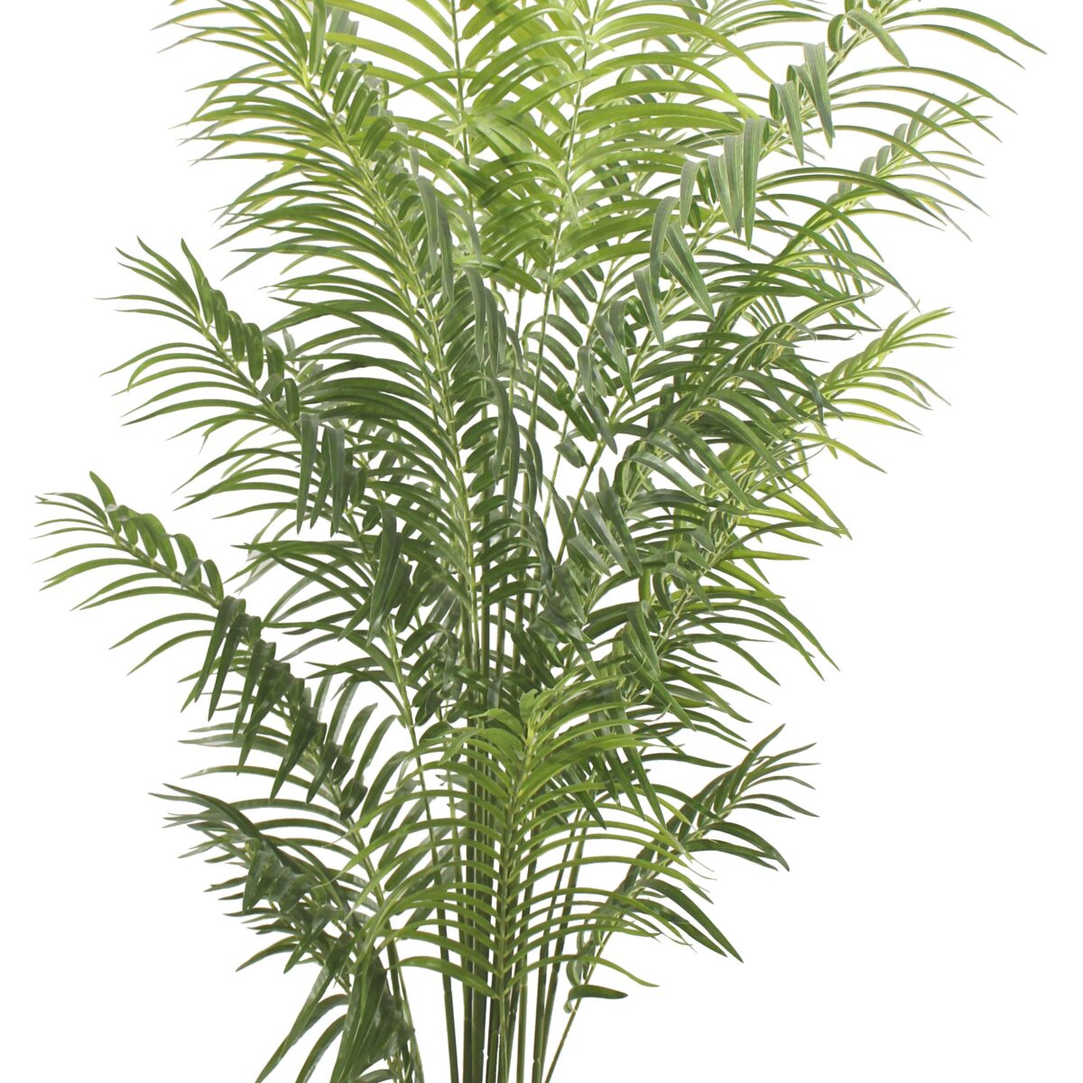 Τεχνητό Φυτό Αρέκα 220cm