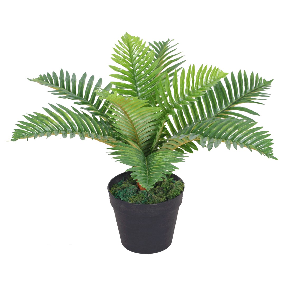 Τεχνητό Φυτό Φοίνικας Κέντια 50cm