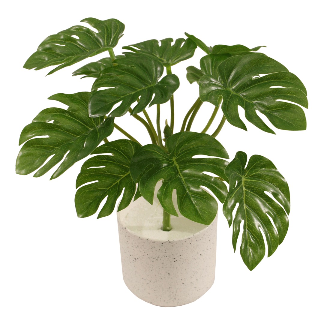 Τεχνητό Φυτό Μονστέρα 25cm