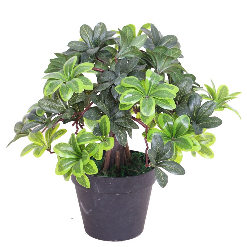 Τεχνητό Φυτό Αγγελική 37cm