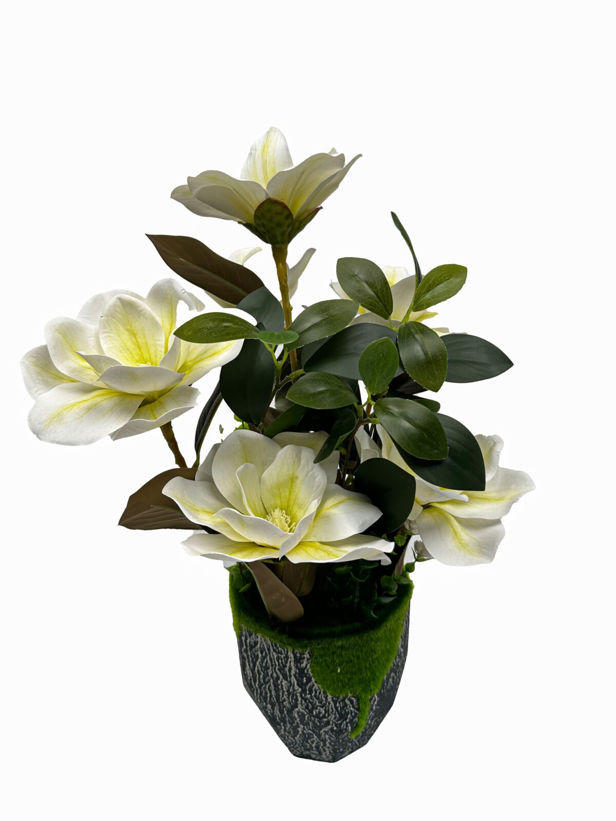 Τεχνητό Φυτό Μανόλια Λευκή με 6 Άνθη - Image 1