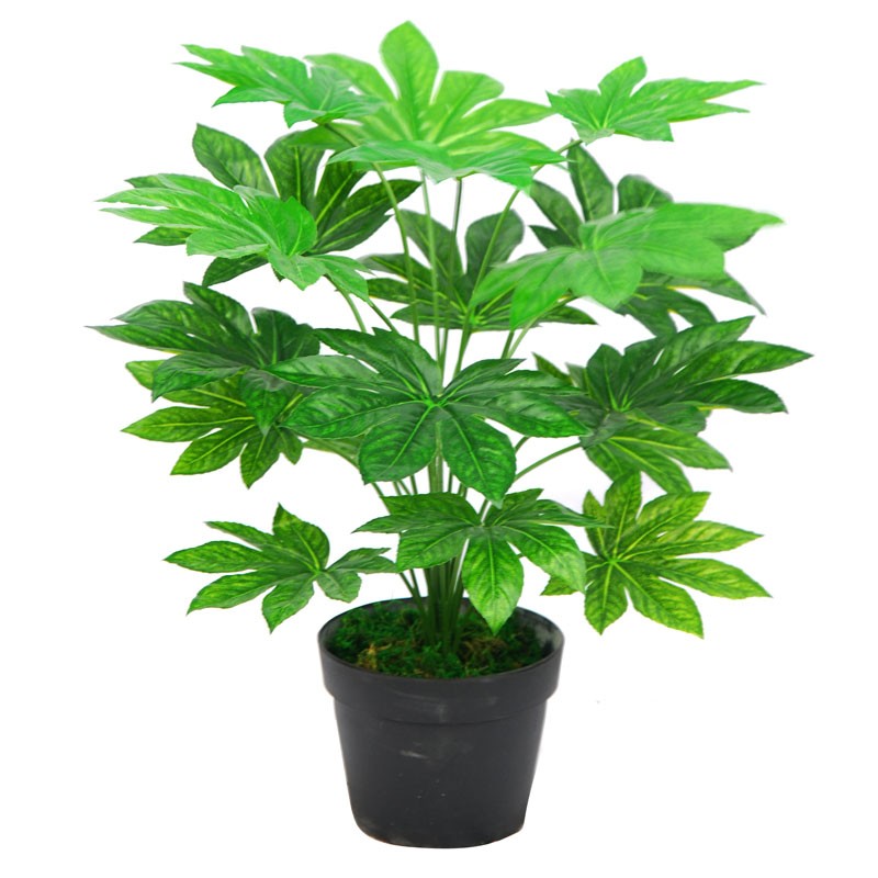 Τεχνητό Φυτό Φάτσια 60cm