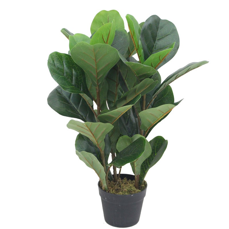 Τεχνητό Φυτό Φίκος Λυράτα 70cm