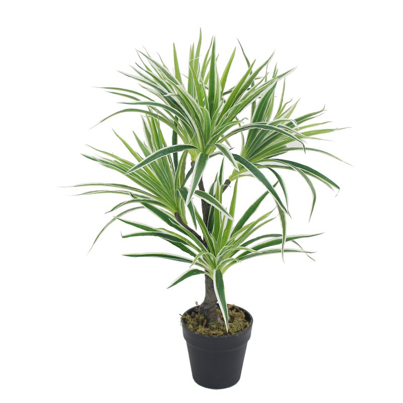 Τεχνητό Φυτό Χλωρόφυτο 70cm