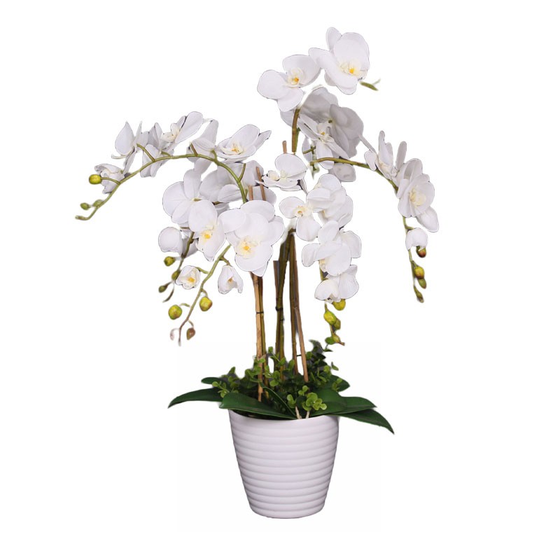 Τεχνητό Φυτό Ορχιδέα 75cm