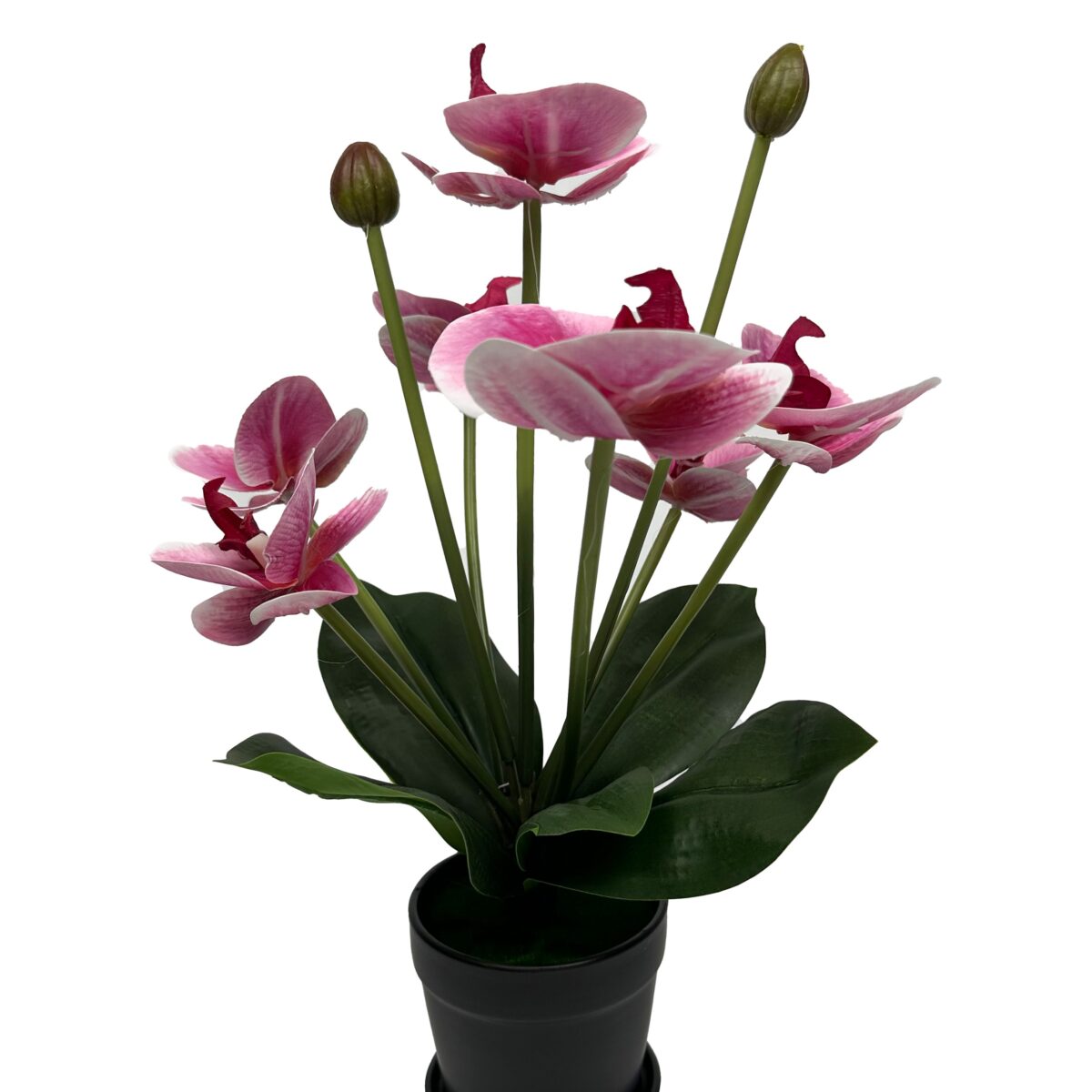 Τεχνητό Φυτό Phalaenopsis Μωβ με 9 Άνθη